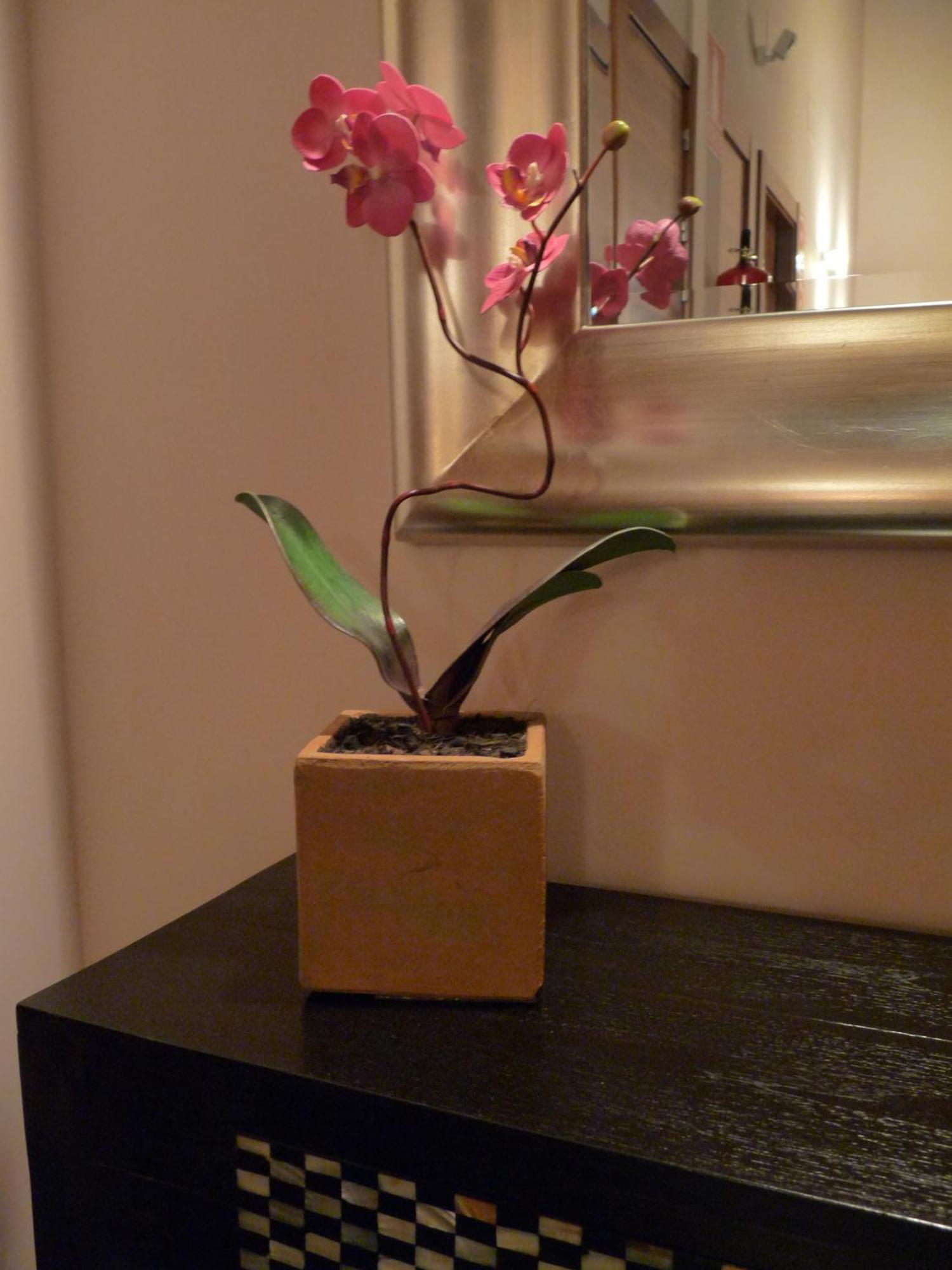Hotel Eco Boutique & Capitulo Trece - Adults Only